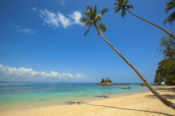 manage your email while on holiday