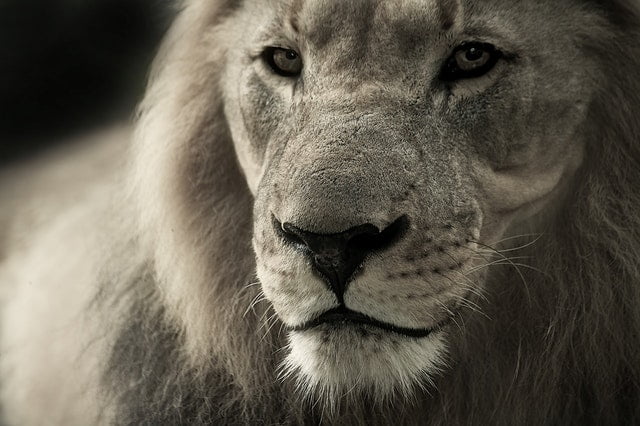 assertive or aggressive?