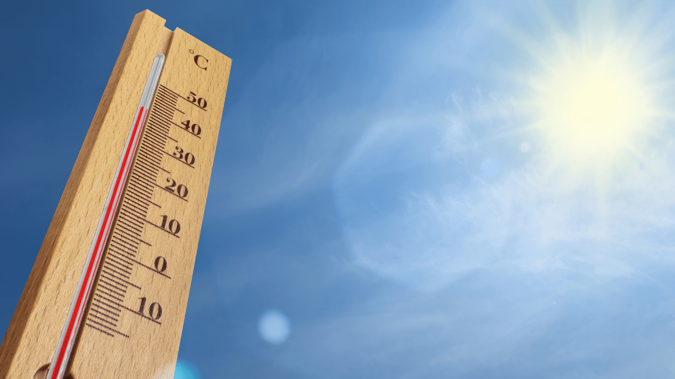 How to stay productive in a heatwave