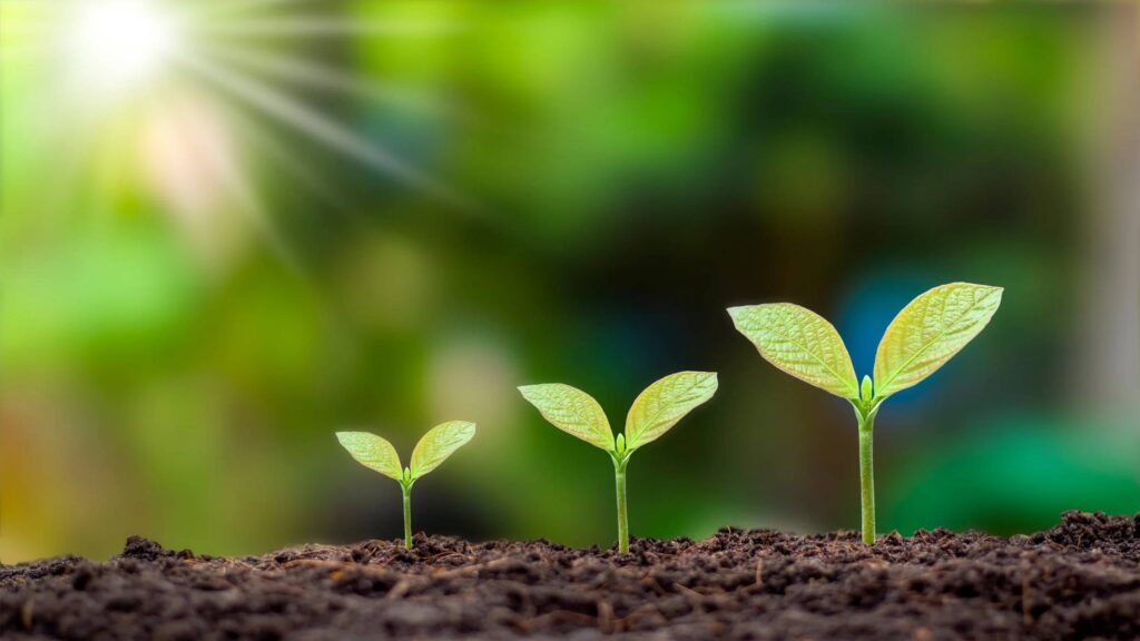 how to start a new business